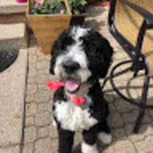 Meet your Posher, Jillian allison